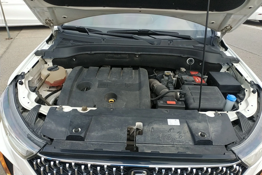 Pentium T33 2019 1.6L automatic luxury Country VI