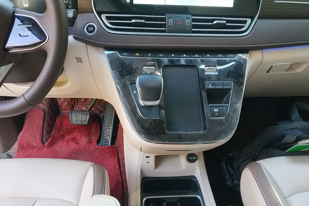 Pentium M9 2023 2.0T Exclusive Type