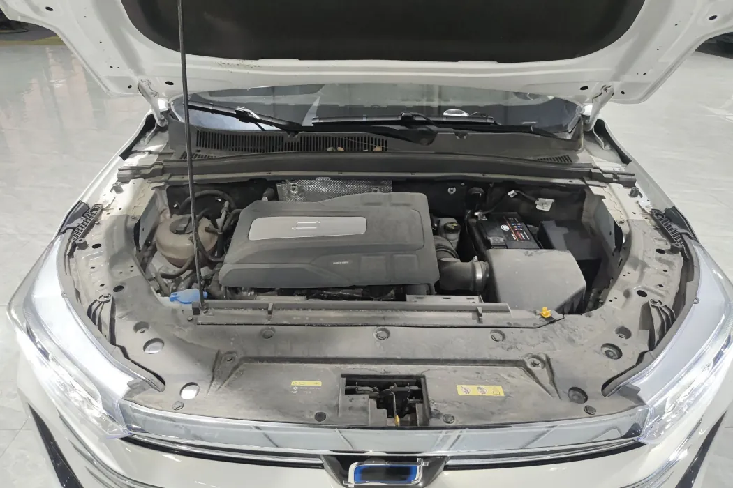 Pentium T77 2023 1.5T automatic luxury type