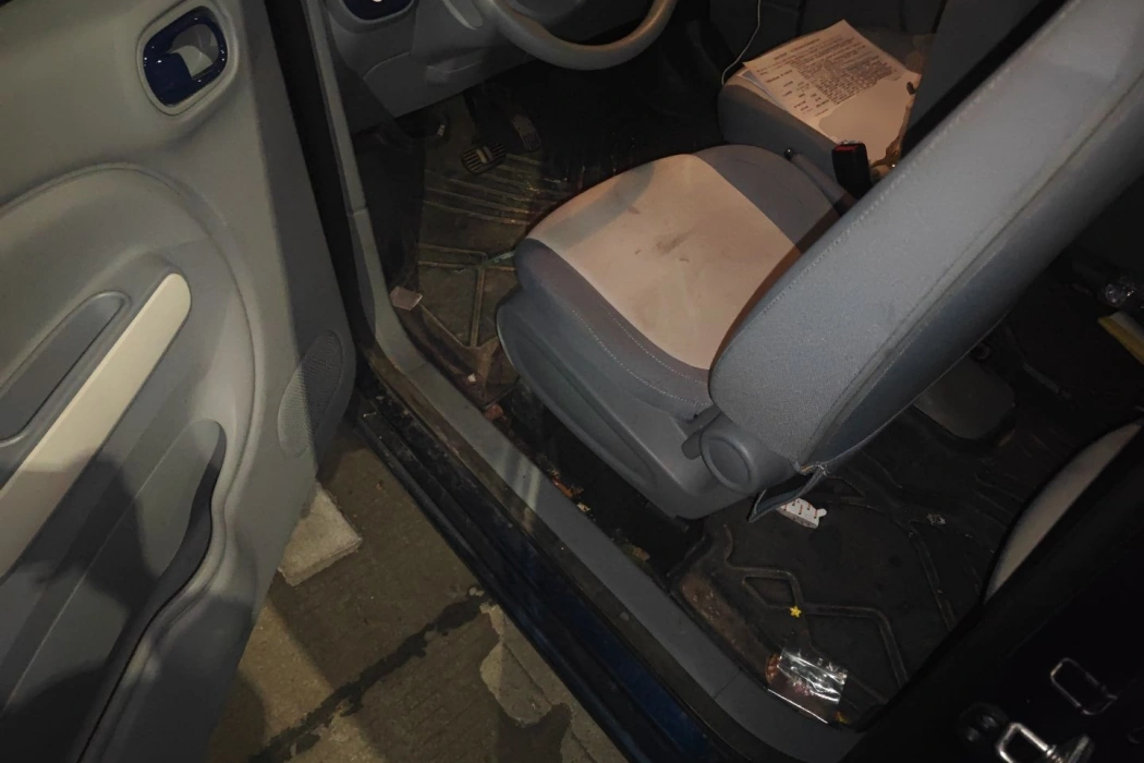 Pentium Pony 2024 170km Vitality Horse