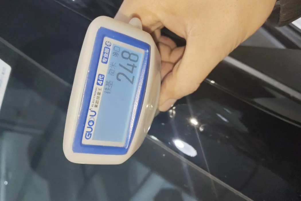 Pentium Pony 2025 222km Lightning Horse