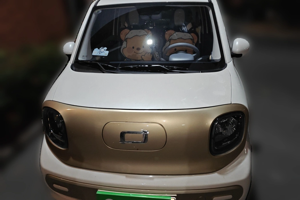 Pentium Pony 2024 170km Vitality Horse