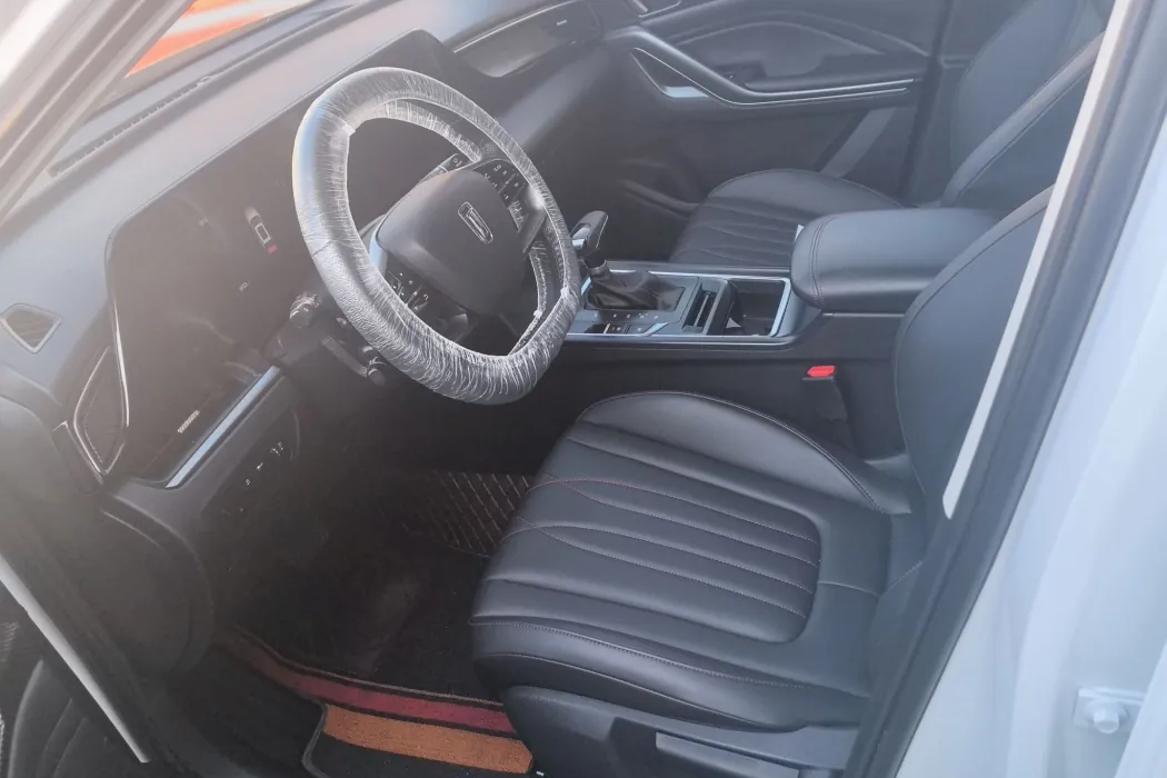 Pentium T55 2023 model 1.5T automatic leap model