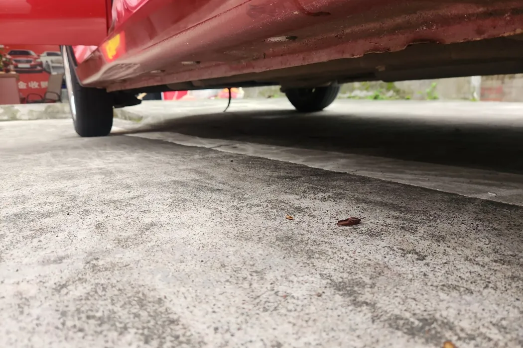 Фото машины 19