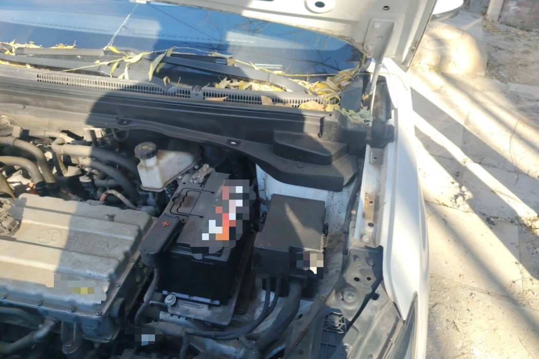 Фото машины 20