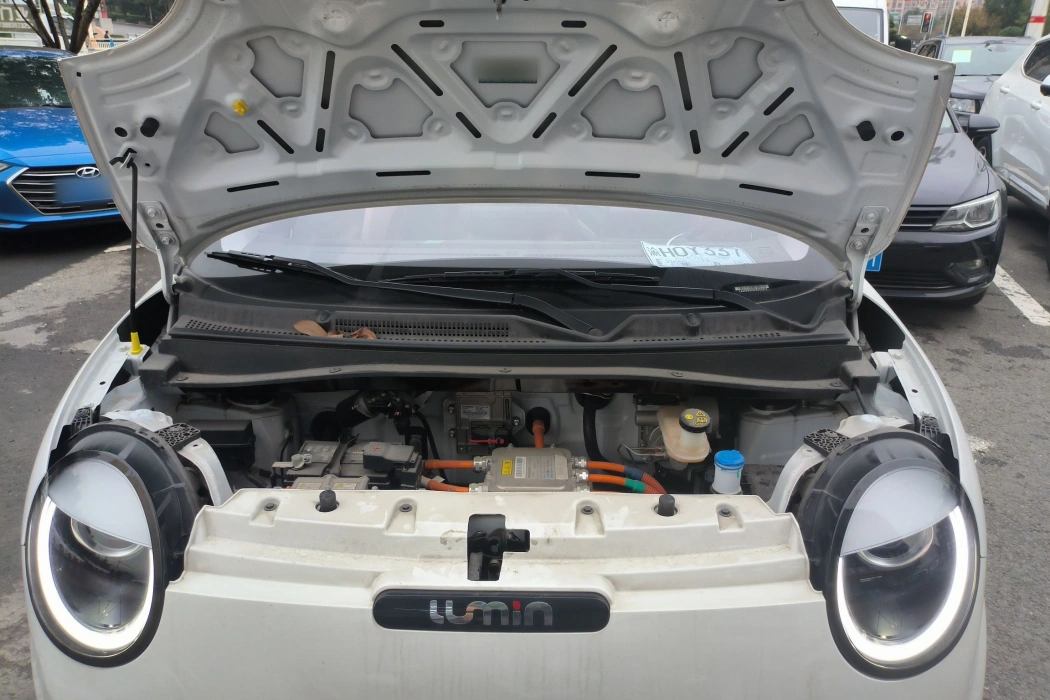 Changan Qiyuan Changan Lumin 2022 155km Sweet Style