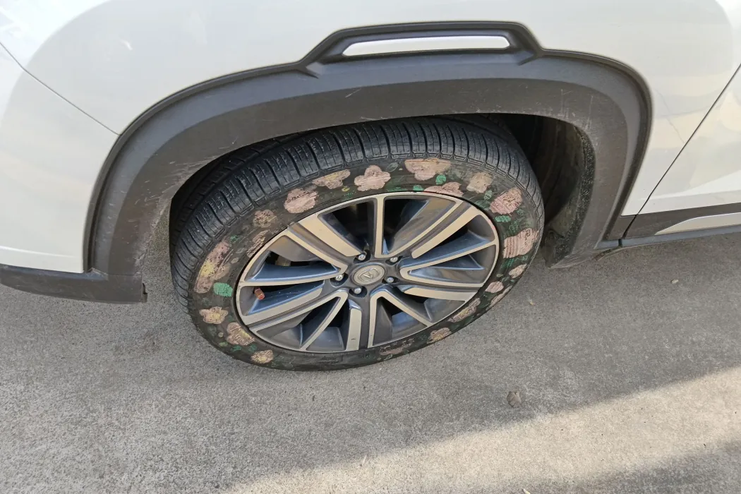 Фото машины 19