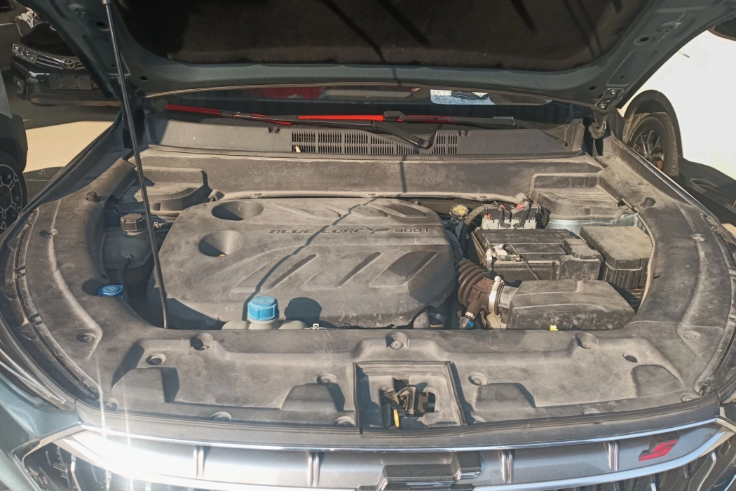 Changan Auchan X5 2021 1.5T DCT Premium Type