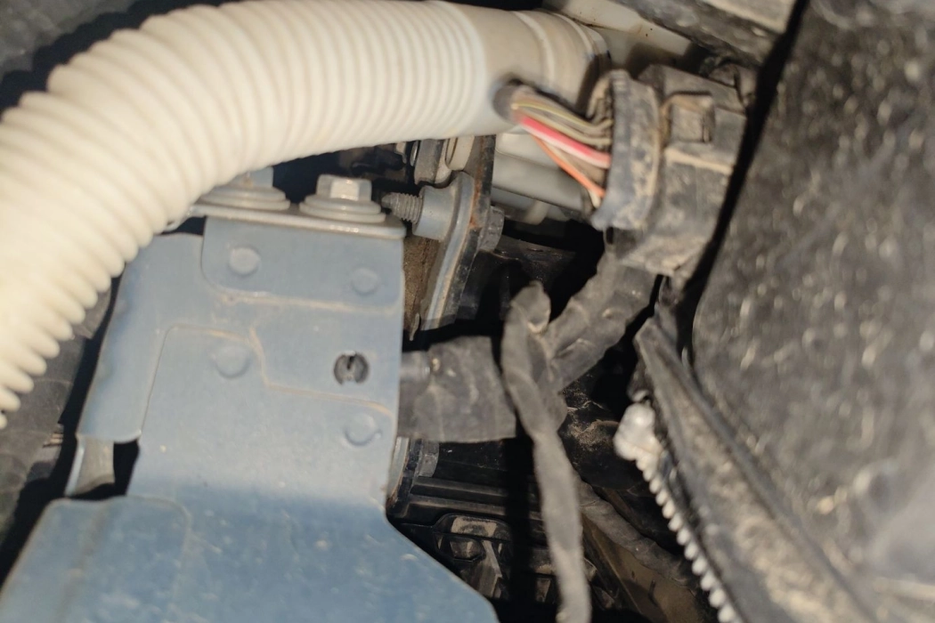 фото машины