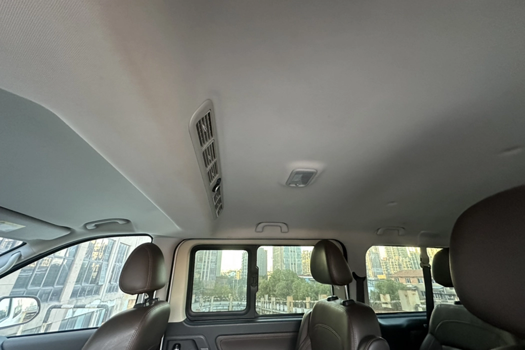 Dongfeng Popular Lingzhi PLUS 2021 2.0L manual Luxury 9-seater