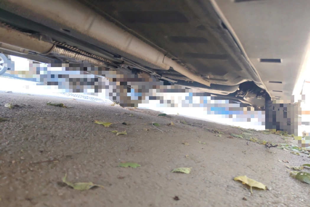 Фото машины 24