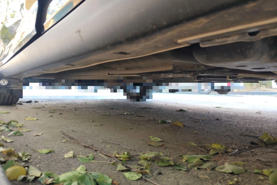 Фото машины 23