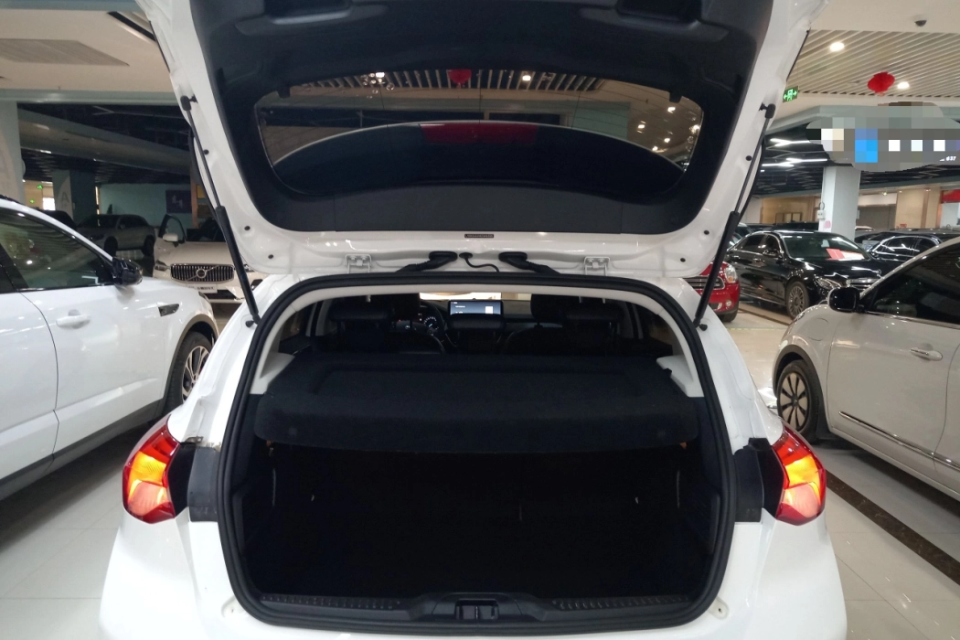 Ford Focus Active 2020 EcoBoost 180 Automatic Tide Type