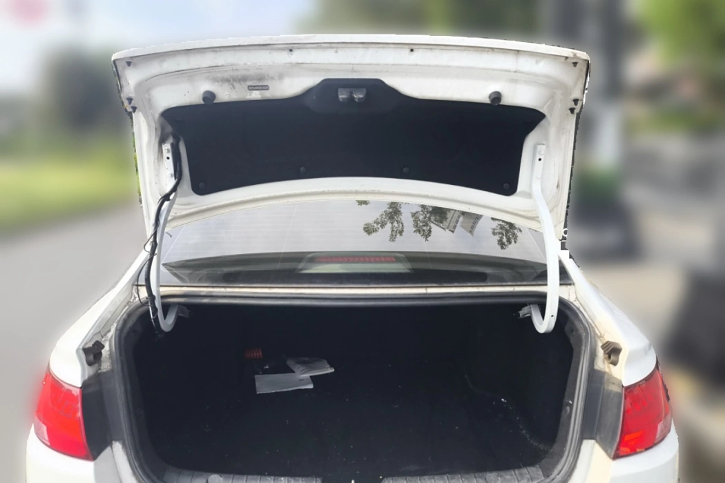 Geely Emgrand New Energy 2021 EV Pro Online Version