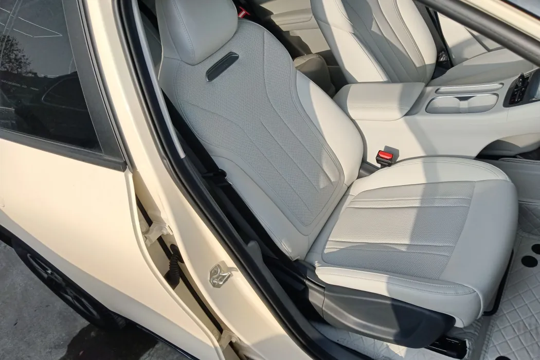 Geely Galaxy Wish 2025 310km Dream Edition