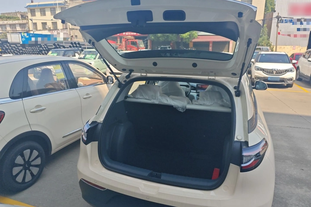 Geely Automobile Star Wish 2025 310km Youth Edition