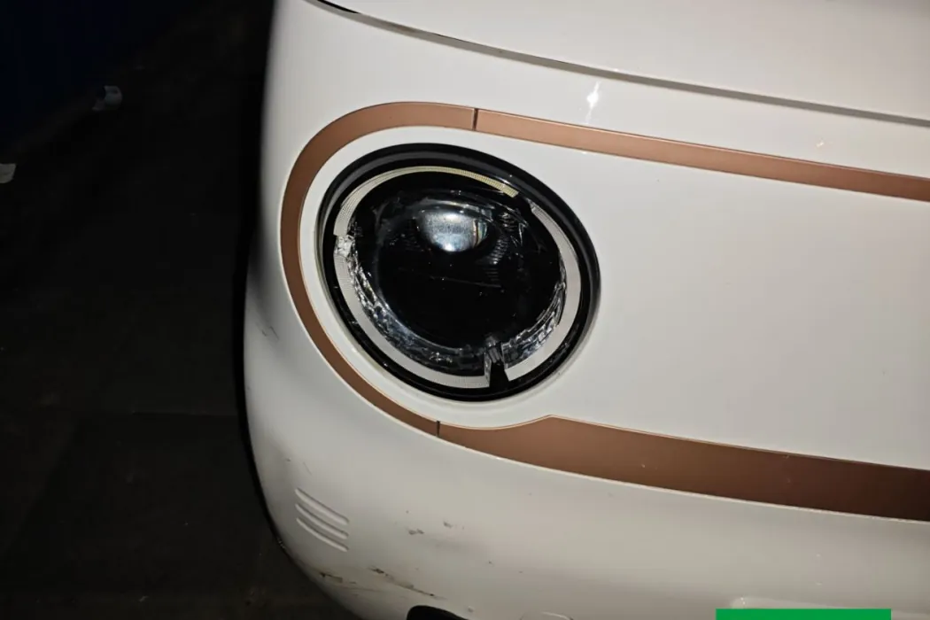 Geely Galaxy 2024 Panda mini 200km Endurance Bear