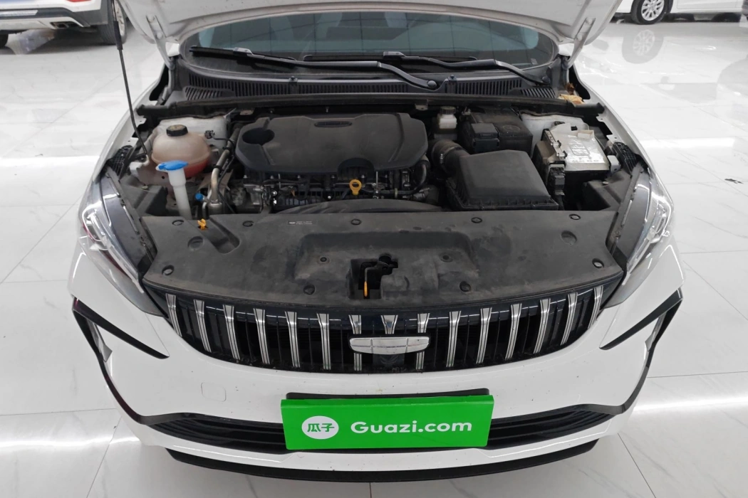 Geely Automobile 2024 Binrui COOL 1.5T DCT Champion Edition