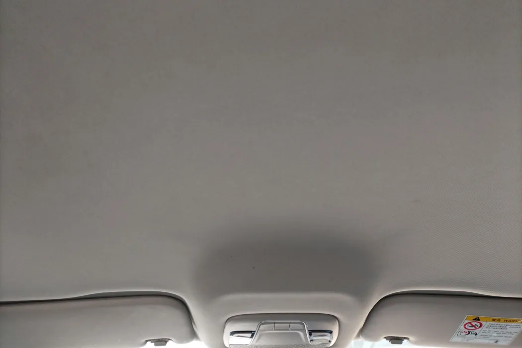 Geely Emgrand New Energy 2022 EV Pro Net Contract Version Lithium Iron Phosphate