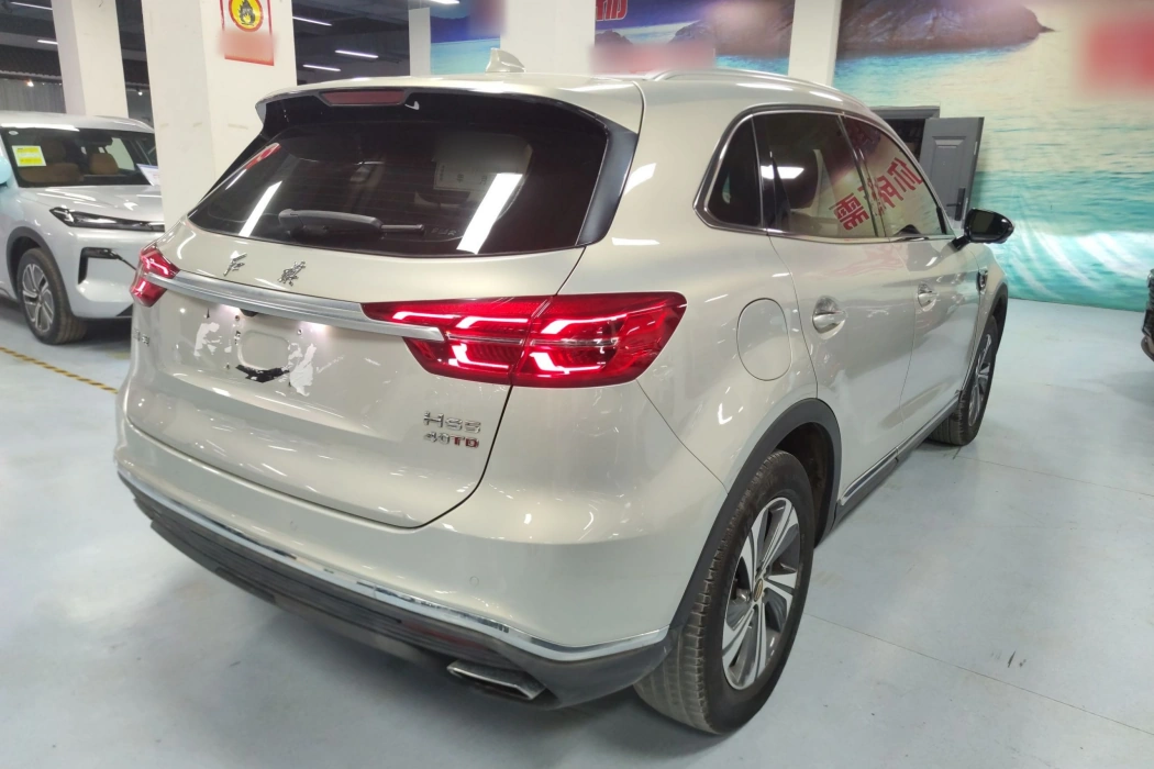 Hongqi HS5 2019 Model 2.0T Zhilian Flag Enjoy Edition