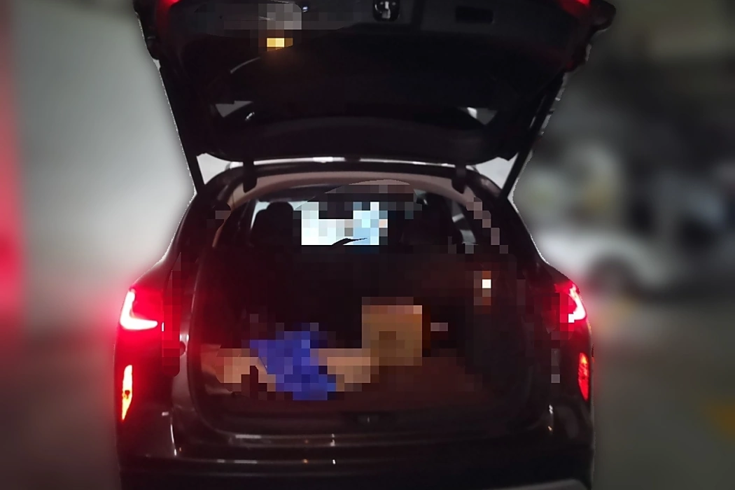 Фото машины