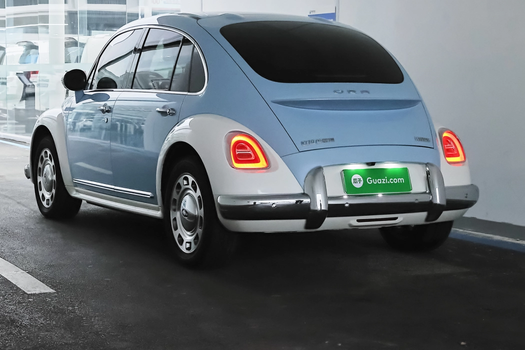 Euler Ballet Cat 2023 401km Luxury Type