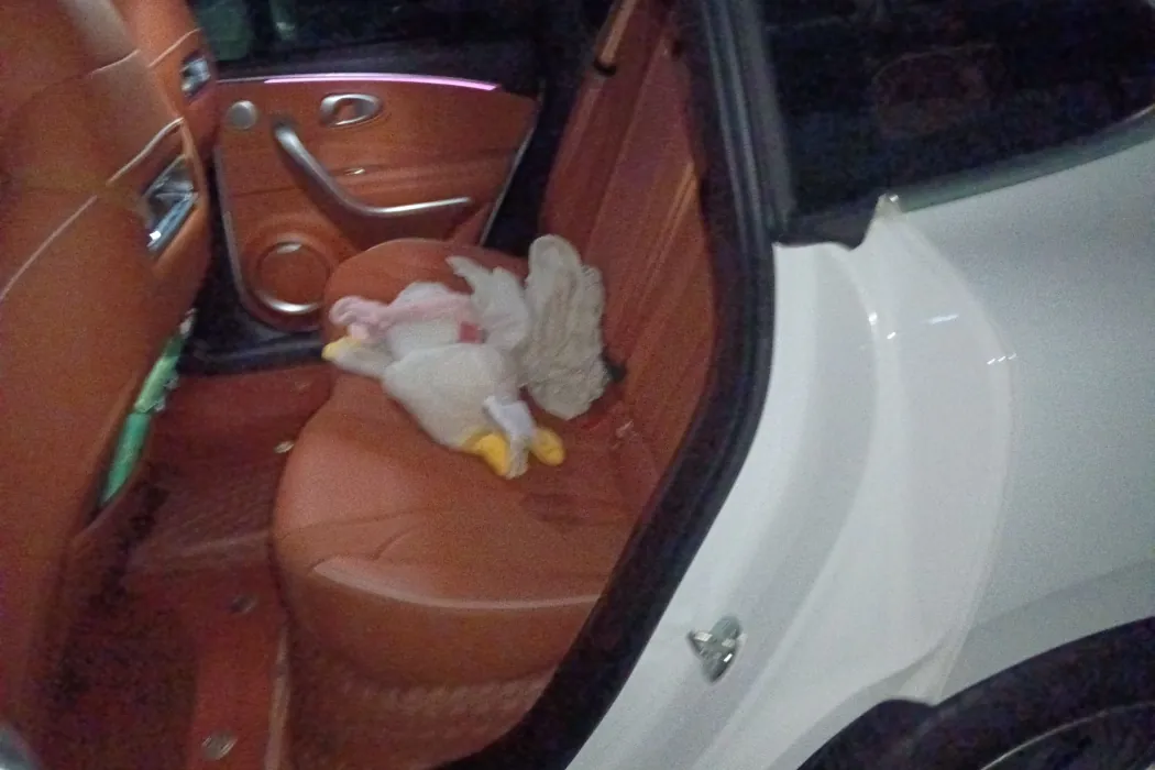 Фото машины 11