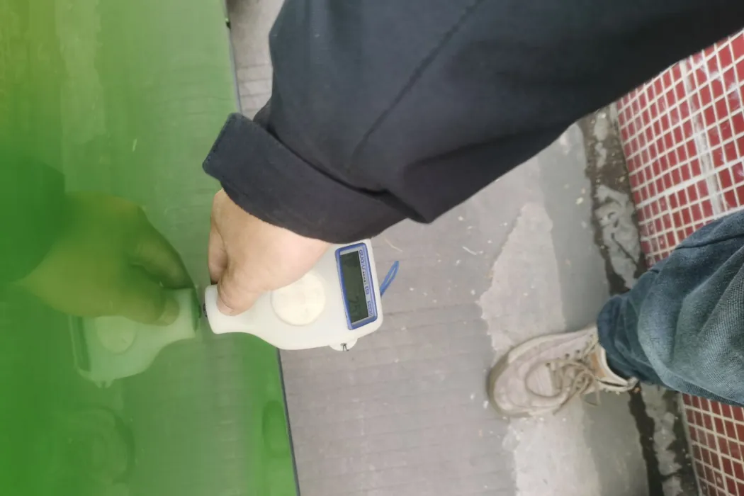 Euler iQ 2018 Aggressive Type