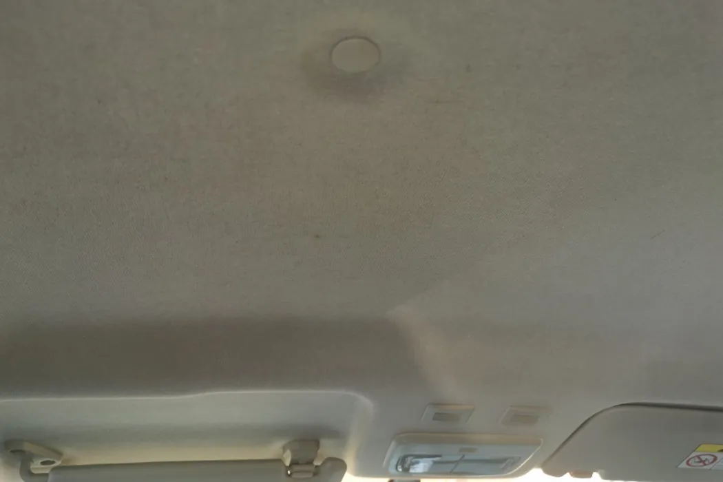 欧拉黑猫 2019款 351km 亲子版