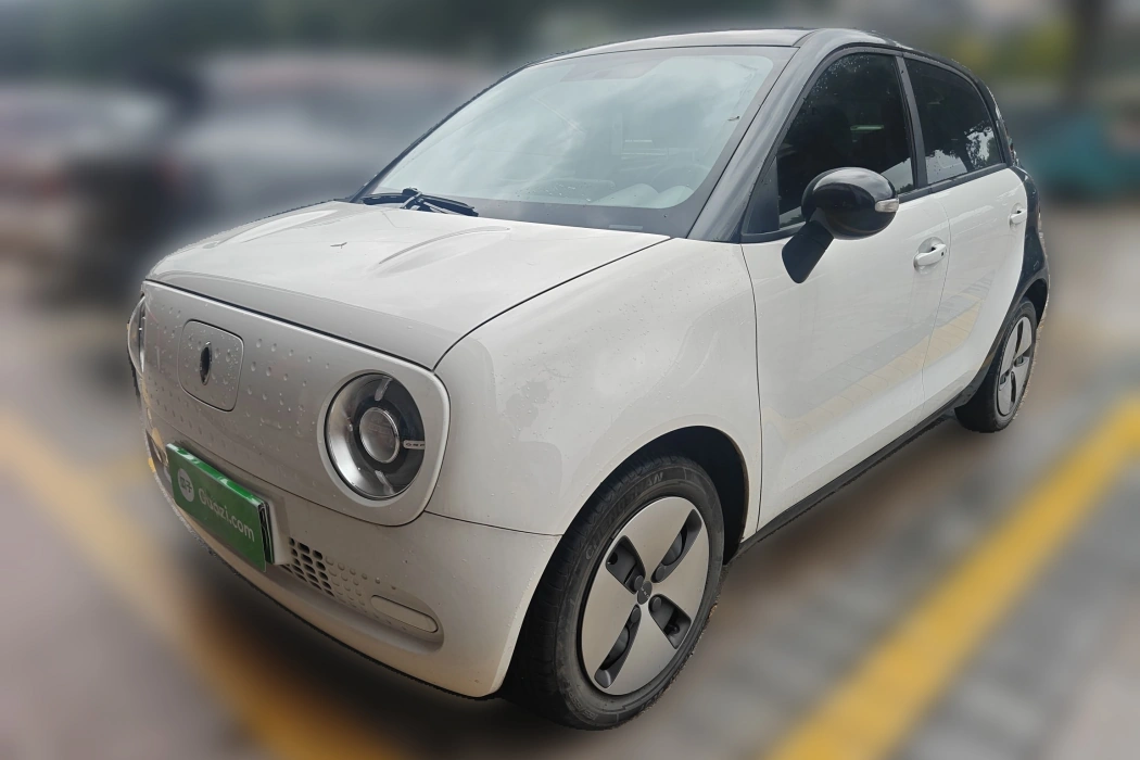 欧拉黑猫 2019款 301km 标准版