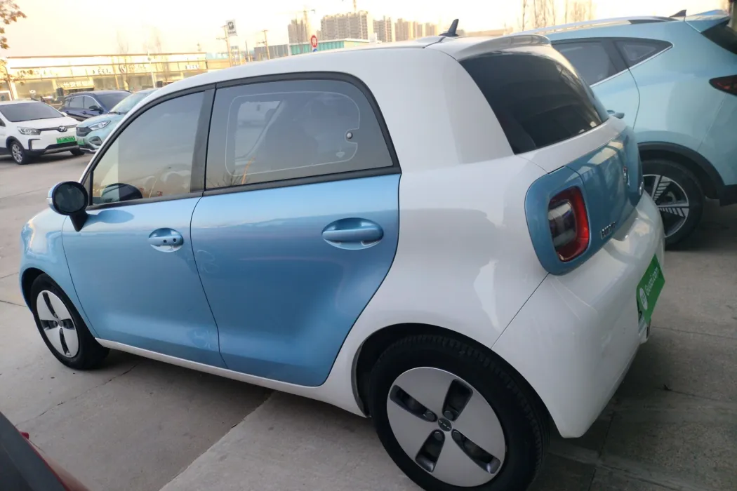 欧拉黑猫 2019款 310km 灵趣版