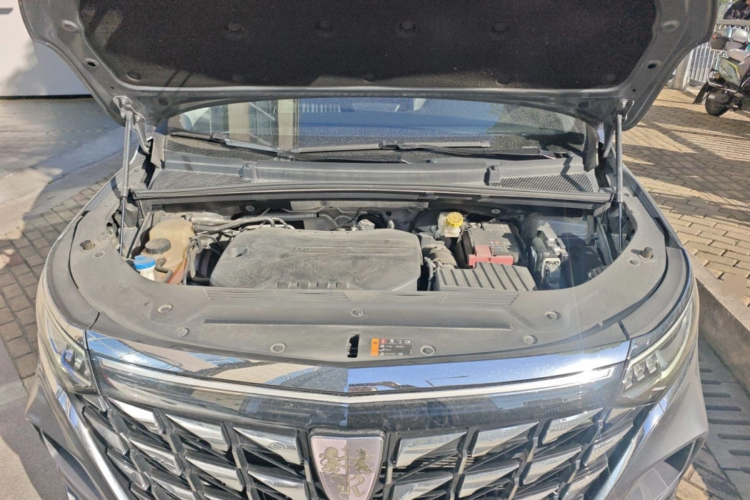 Roewe iMAX8 2021 400TGI Supreme Series Premium Edition