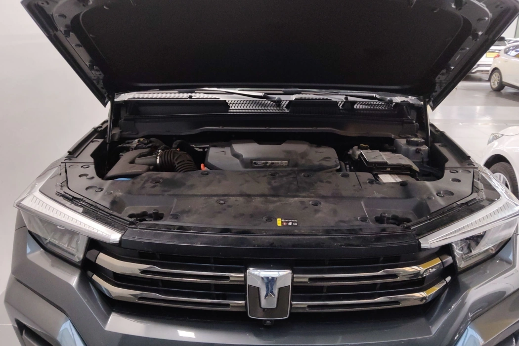 Tank 400 New Energy 2024 Hi4-T off-road version