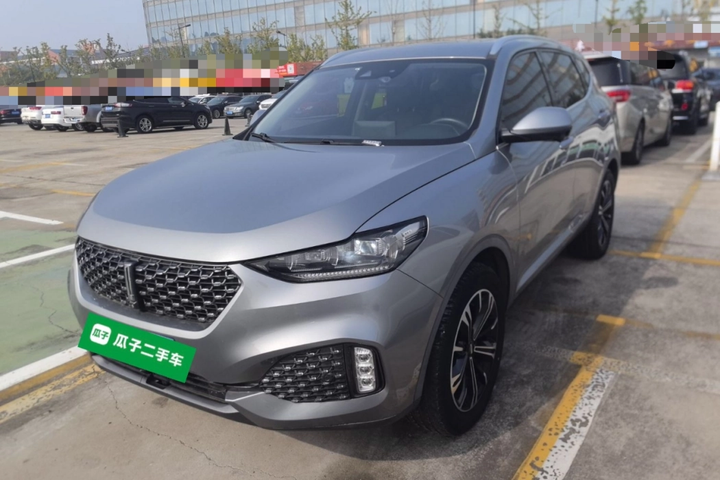 Wei brand VV6 2020 2.0T two-wheel drive smart enjoy+