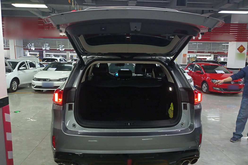 Wei brand VV6 2021 2.0T two-wheel drive smart protection+