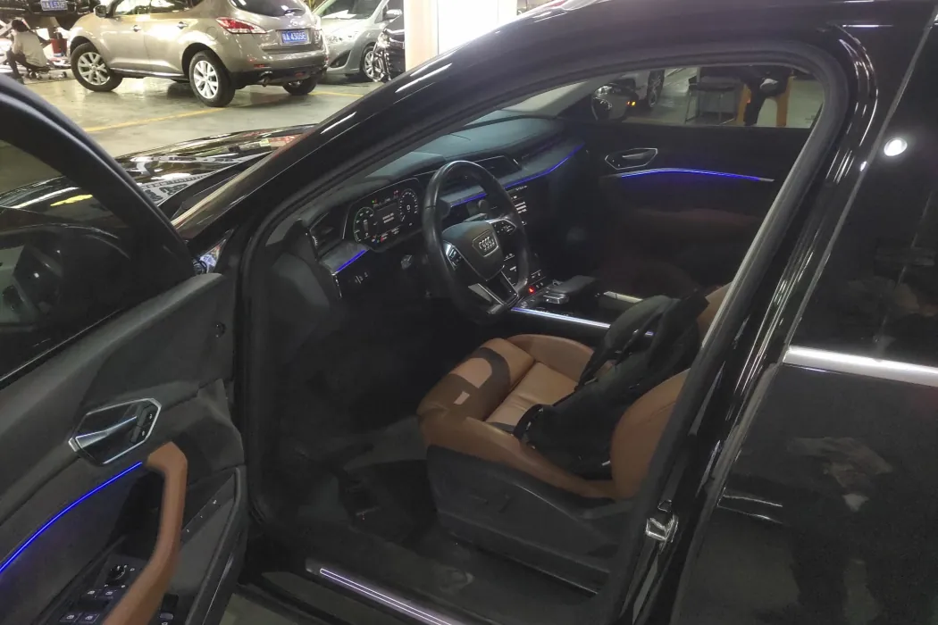 Audi e-tron (imported) 2019 model 55 quattro technical type