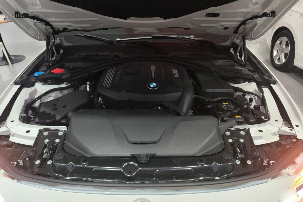 BMW 3 Series 2019 320Li M sports suit