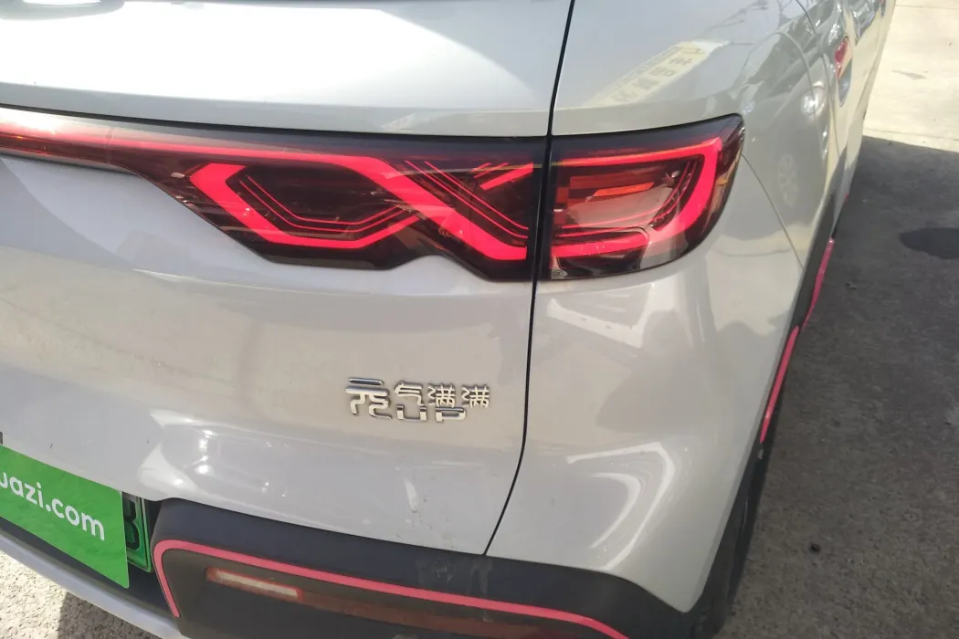 BYD Yuan UP 2024 model 301KM leading type