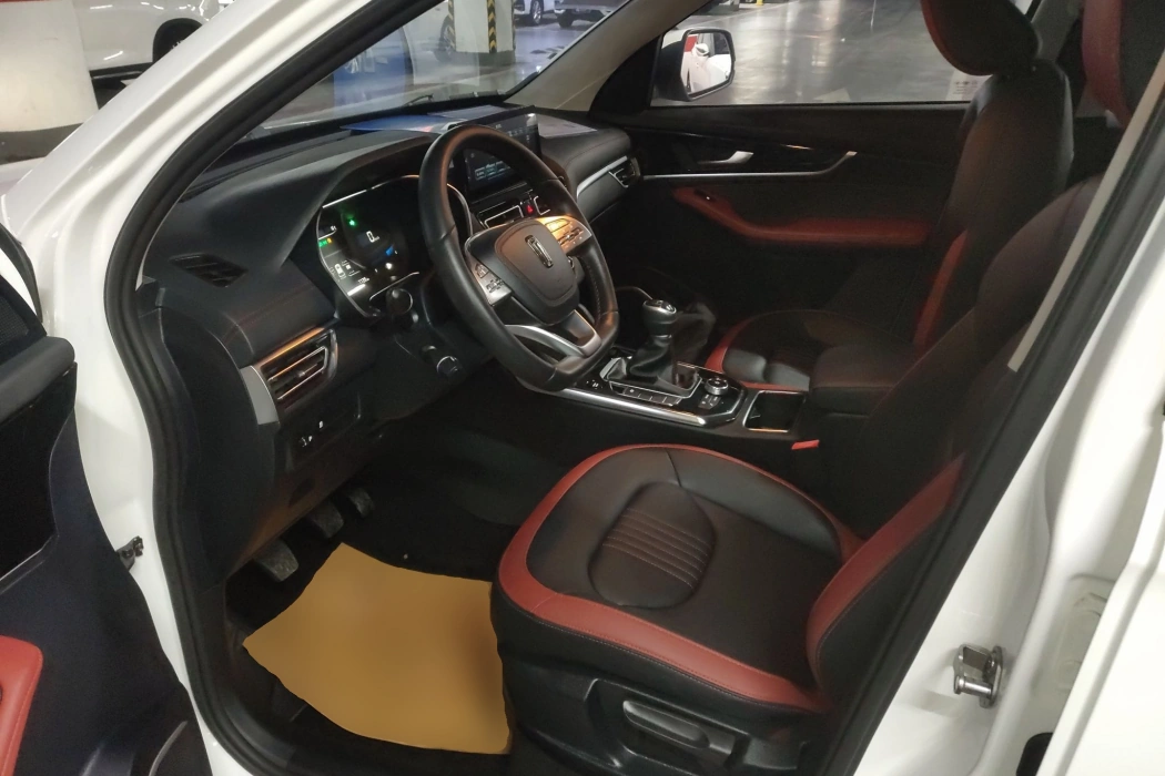 Pentium T33 2019 1.6L manual luxury Country V