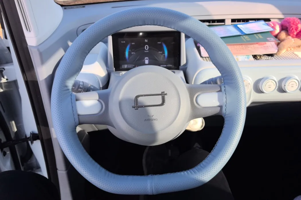 Pentium Pony 2025 222km Smart Horse