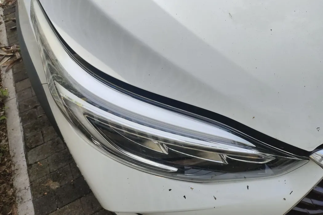 Фото машины 24