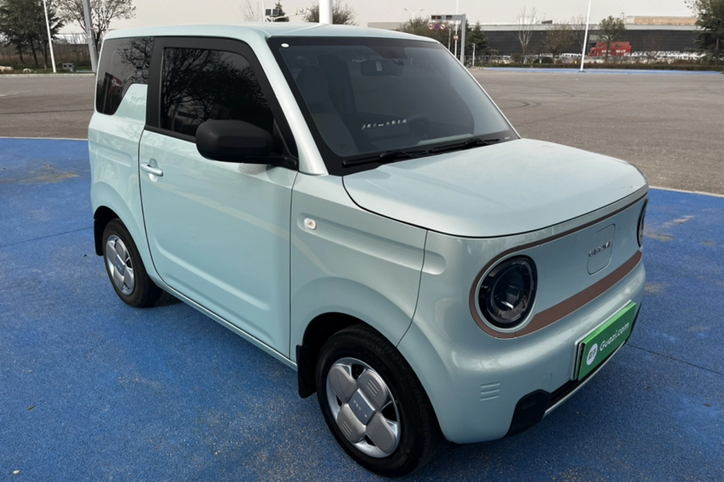 Geely Galaxy 2024 Panda mini 200km Endurance Bear