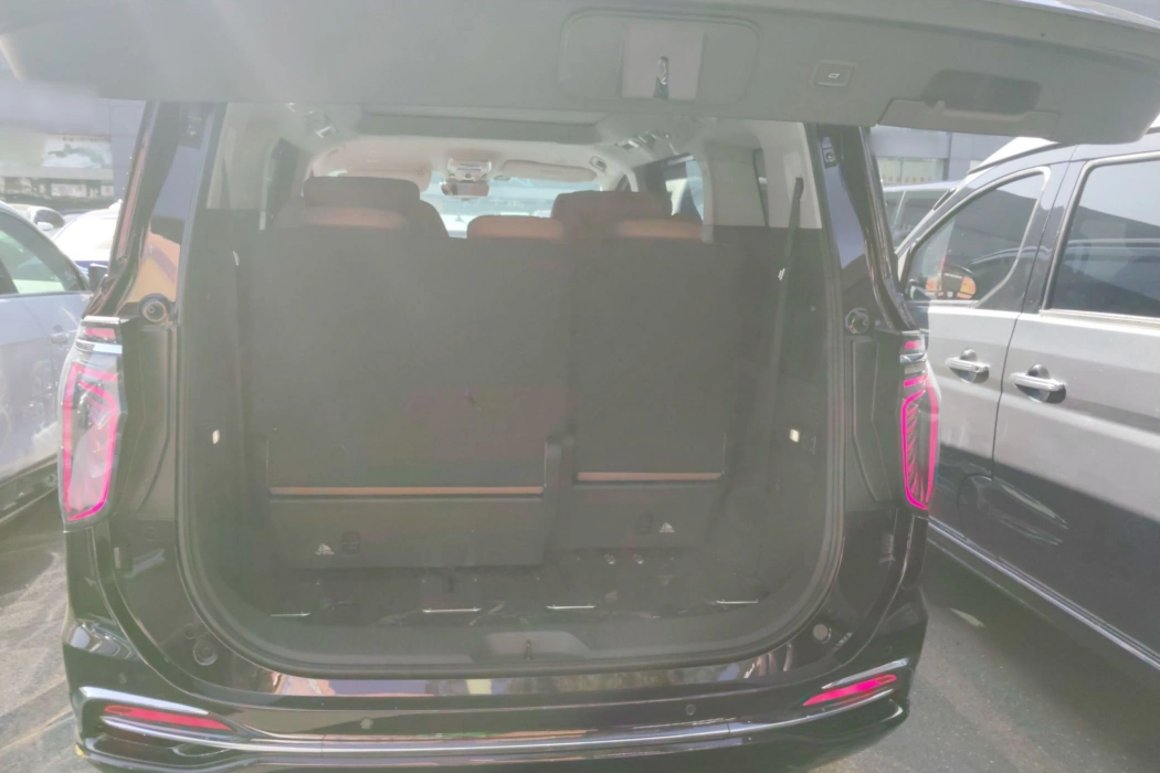 Hongqi HQ9 2023 Model 2.0T Zhilian Qichang Version