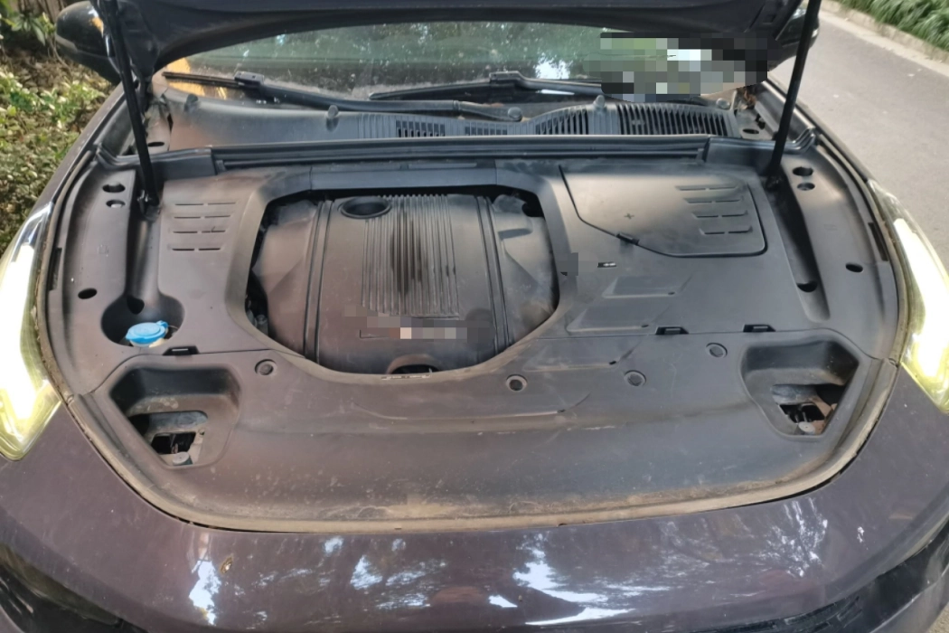 Linke 02 New Energy 2019 1.5T PHEV Pro