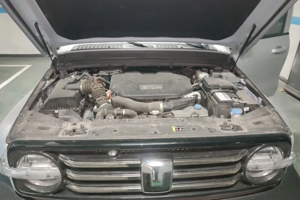 Tank 300 New Energy 2024 Hi4-T