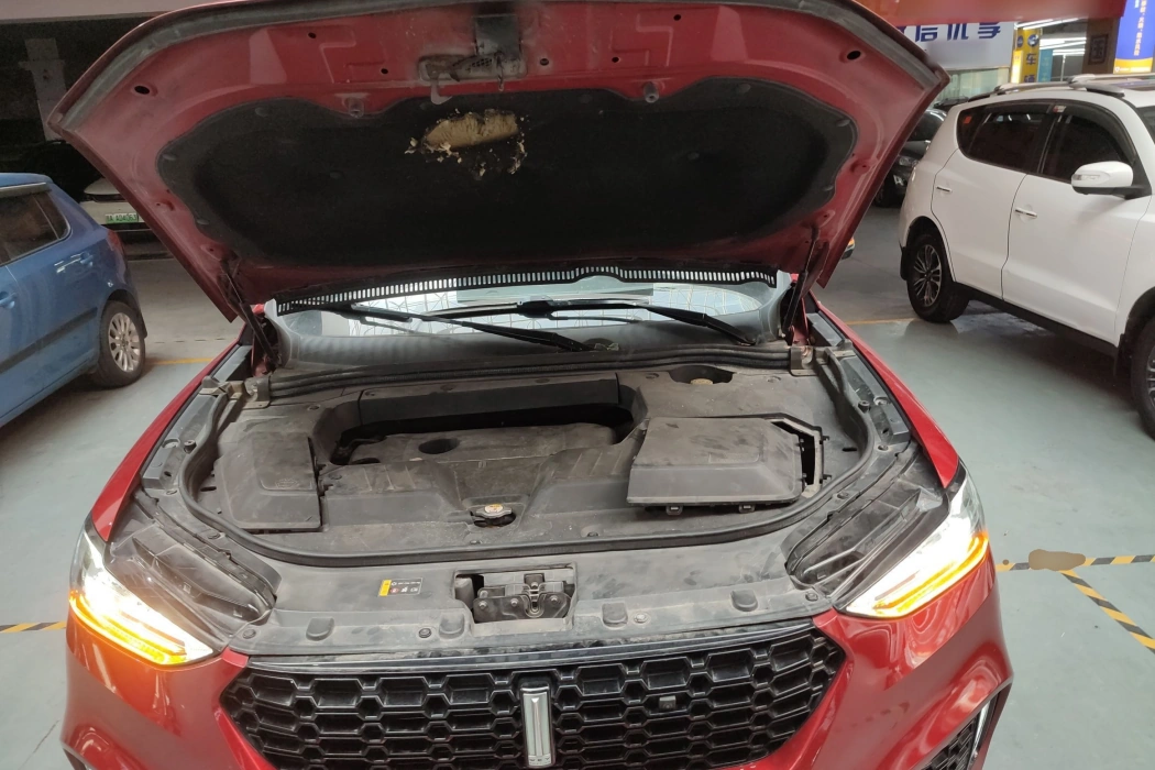 Фото машины 12