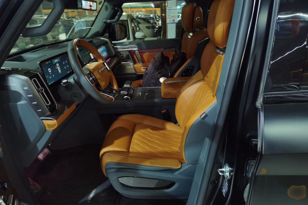 Warrior 917 2023 Pure Electric Basic Edition