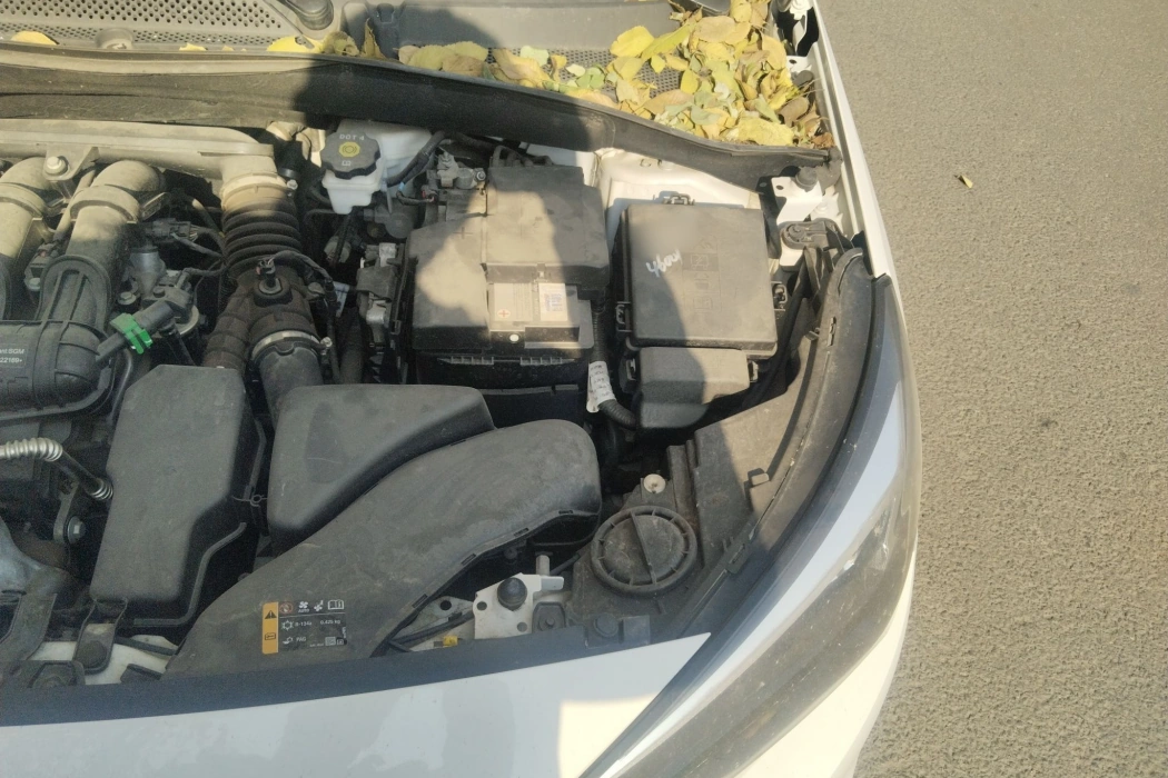 Фото машины 19