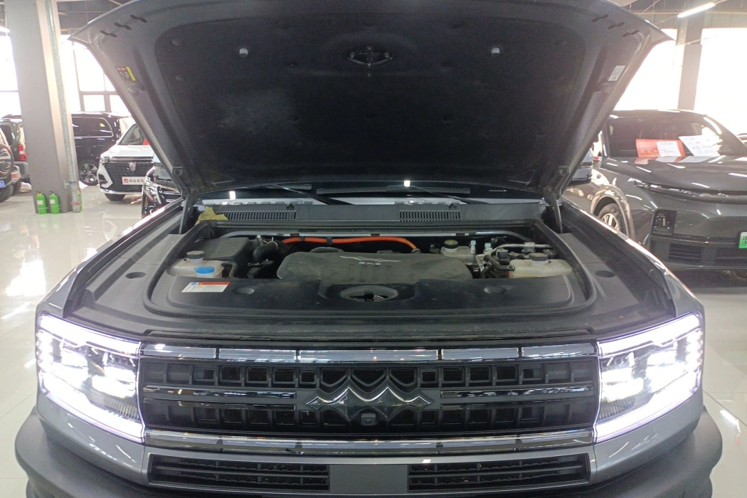 Leopard Leopard 5 2023 Pilot Edition