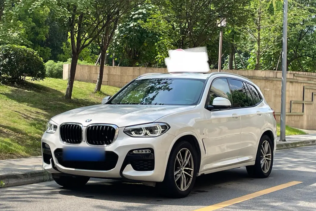 BMW X3 2018 xDrive30i Lead M Sport Package National VI